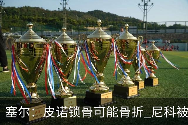 塞尔：皮诺锁骨可能骨折 尼科被铲伤可能提前结束世界杯之旅