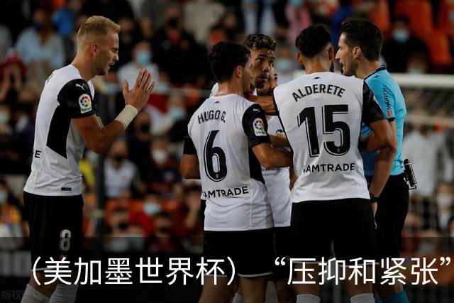 （美加墨世界杯）“压抑和紧张”中的伊朗队首秀