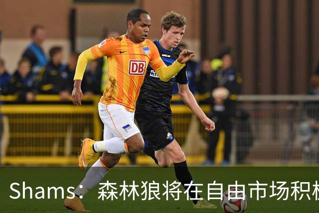 Shams：森林狼将在自由市场积极补强4号位 但他们只能提供底薪