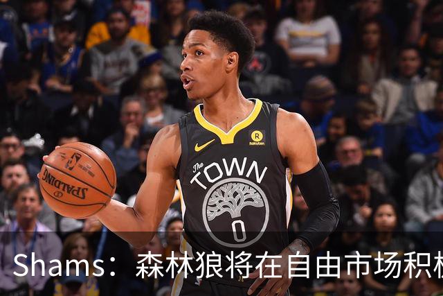 Shams：森林狼将在自由市场积极补强4号位 但他们只能提供底薪